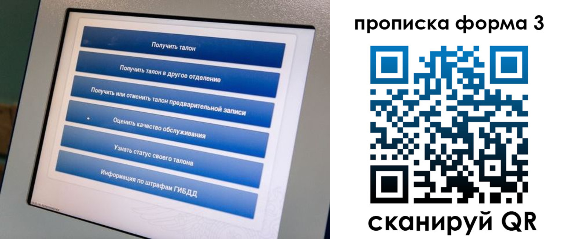 прописка в квартире в Мордовии